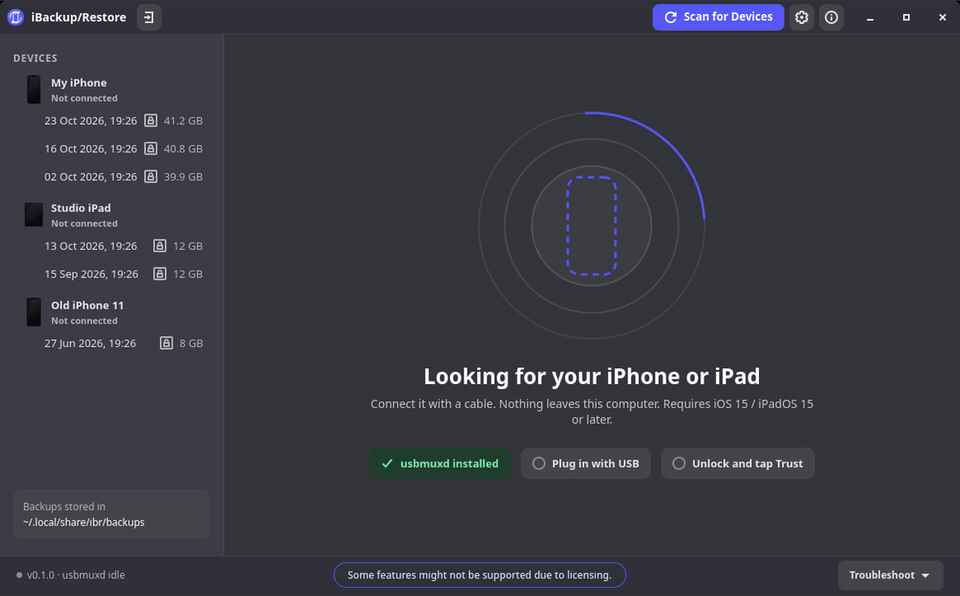 iBR tour: scanning, a backup in progress, the file browser, photo preview, firmware update and recovery mode